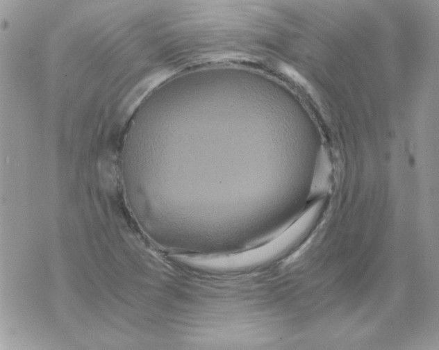 X0000071381361200607212202