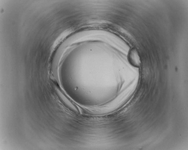 X0000071381362200607212202