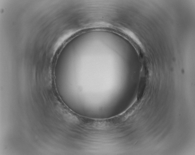 X0000071381364200607212202