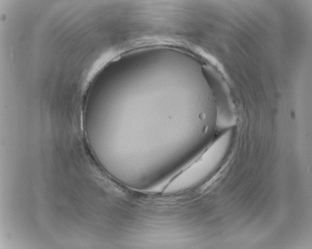 X0000071381365200607212202