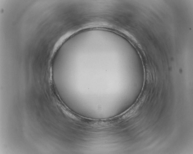 X0000071381366200607212202