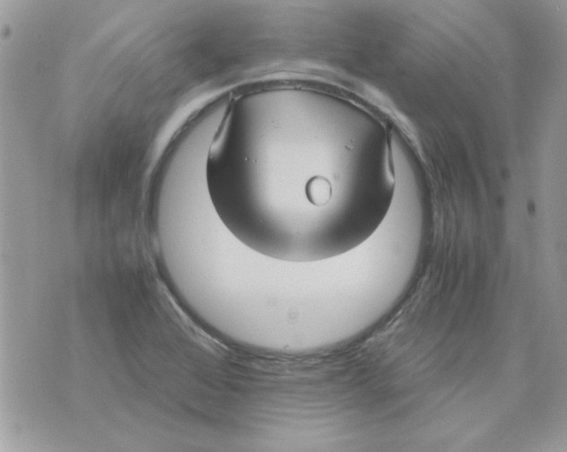 X0000071381368200607212202