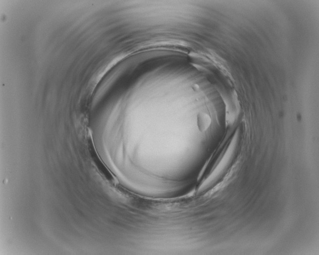 X0000071381369200607212202