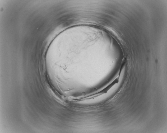 X0000071381371200607212202