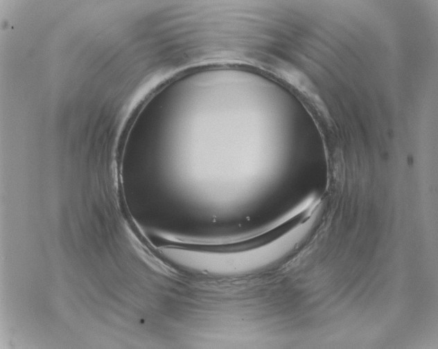 X0000071381372200607212202