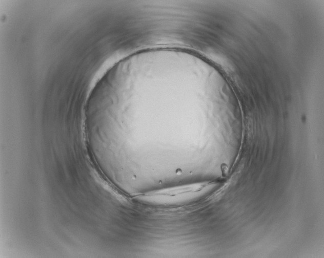 X0000071381374200607212202