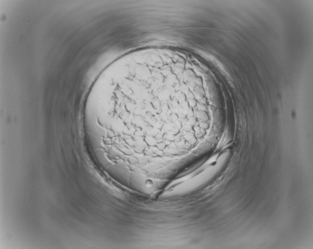 X0000071381375200607212202