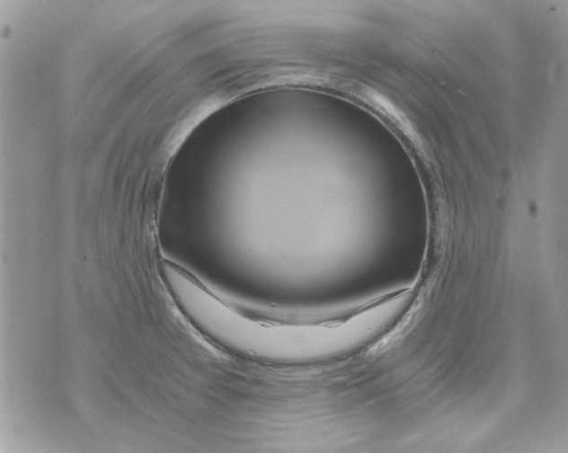 X0000071381377200607212202