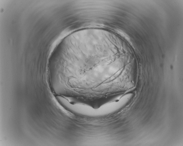 X0000071381379200607212202