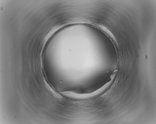 X0000071381380200607212202