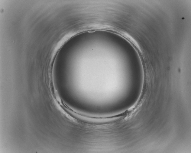 X0000071381381200607212202