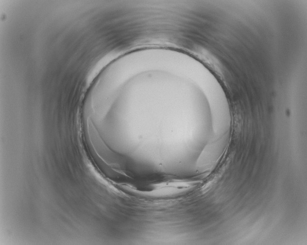 X0000071381382200607212202