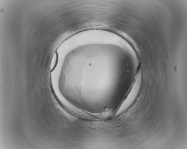 X0000071381383200607212202