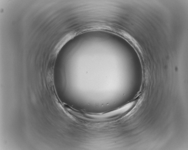 X0000071381385200607212202