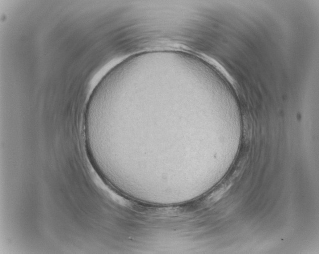 X0000071381387200607212201