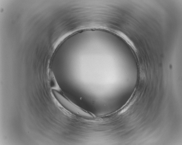 X0000071381388200607212201