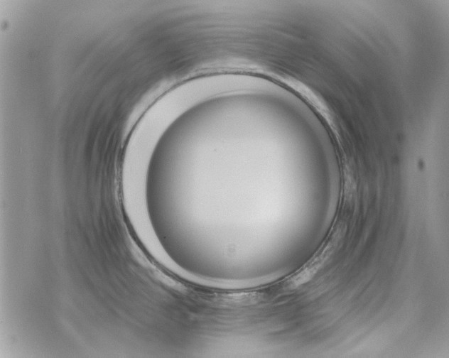 X0000071381390200607212201