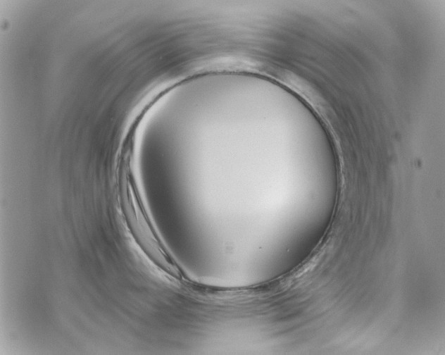 X0000071381392200607212201