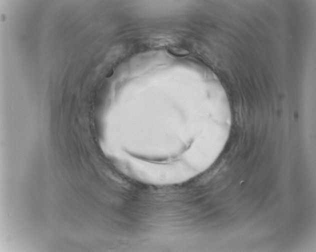 X0000071381393200607212201