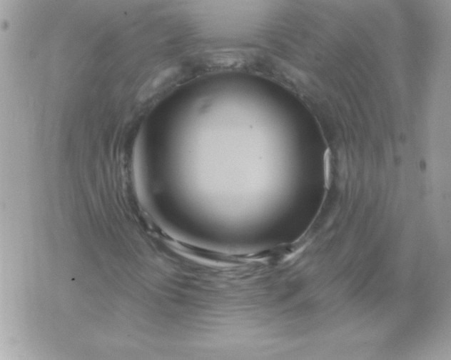 X0000071381394200607212201