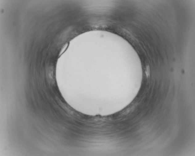 X0000071381396200607212201