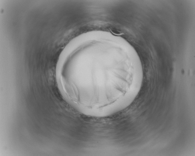 X0000071381397200607212201