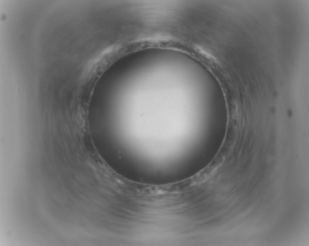 X0000071381398200607212201