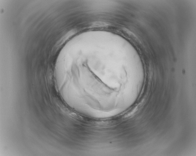 X0000071381401200607212201