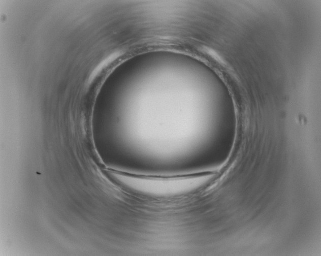 X0000071381402200607212201