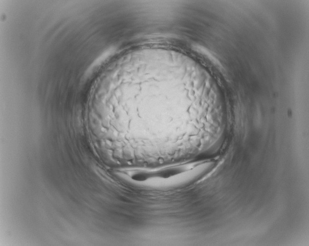 X0000071381403200607212201