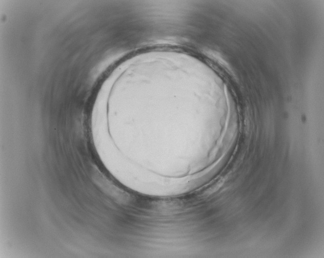 X0000071381404200607212201