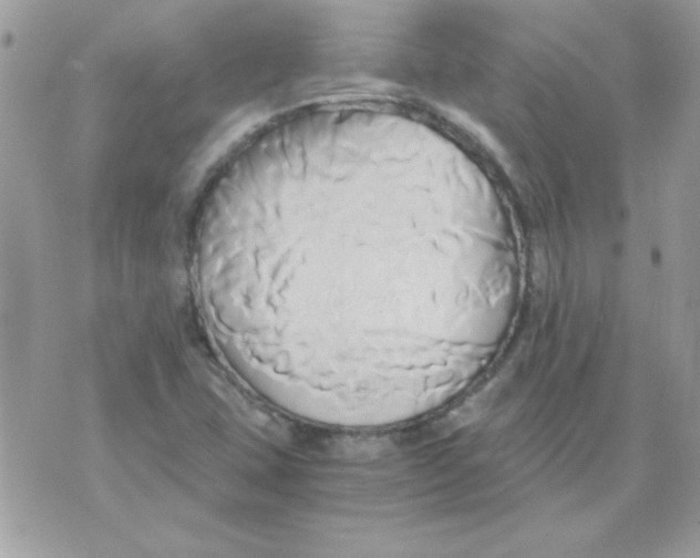 X0000071381407200607212201