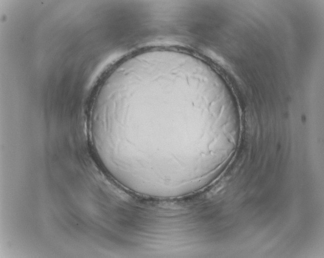 X0000071381408200607212201