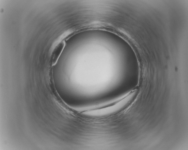 X0000071381410200607212201