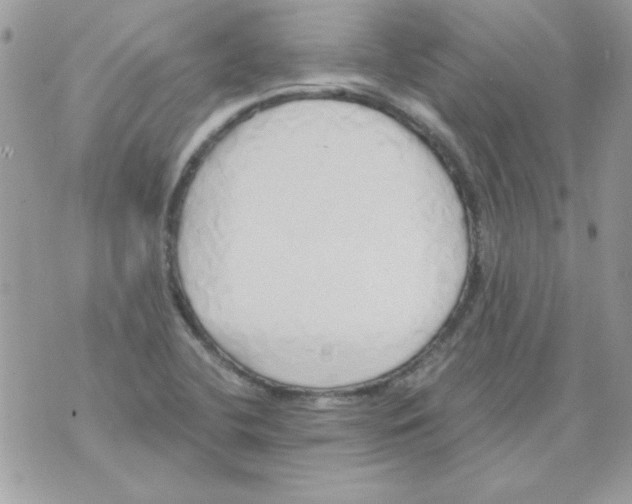 X0000071381412200607212201