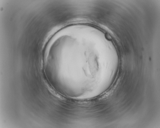 X0000071381413200607212201