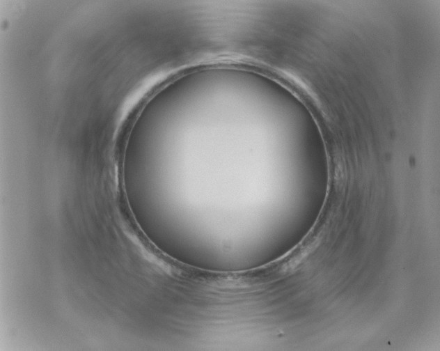 X0000071381414200607212201