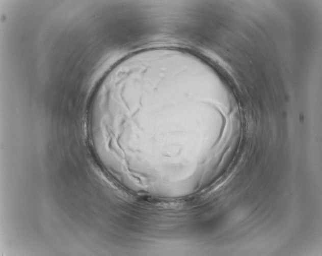 X0000071381415200607212201