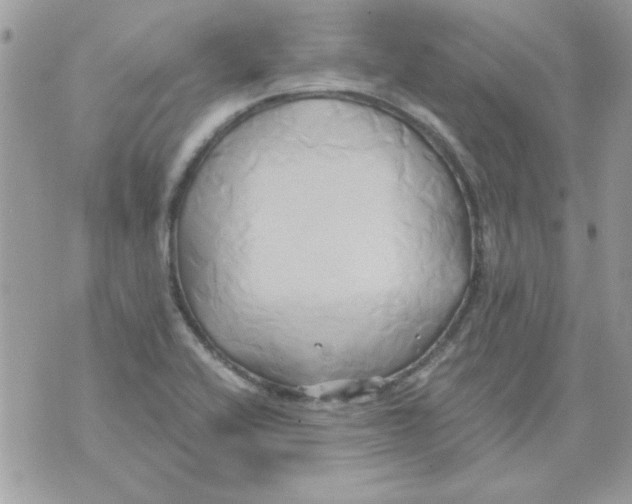 X0000071381416200607212201