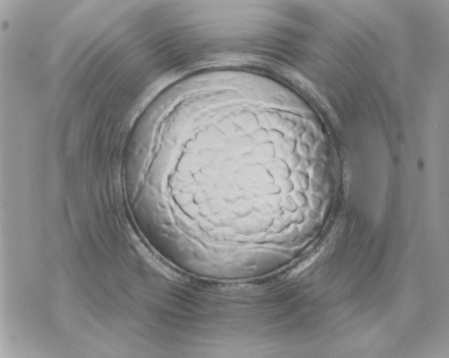 X0000071381417200607212201