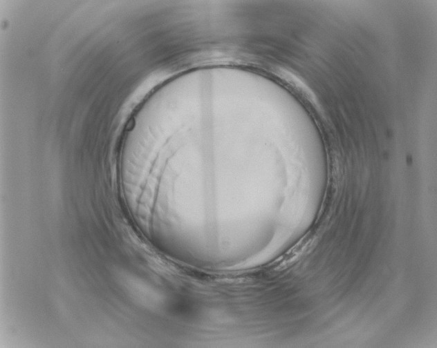 X0000071381419200607212201