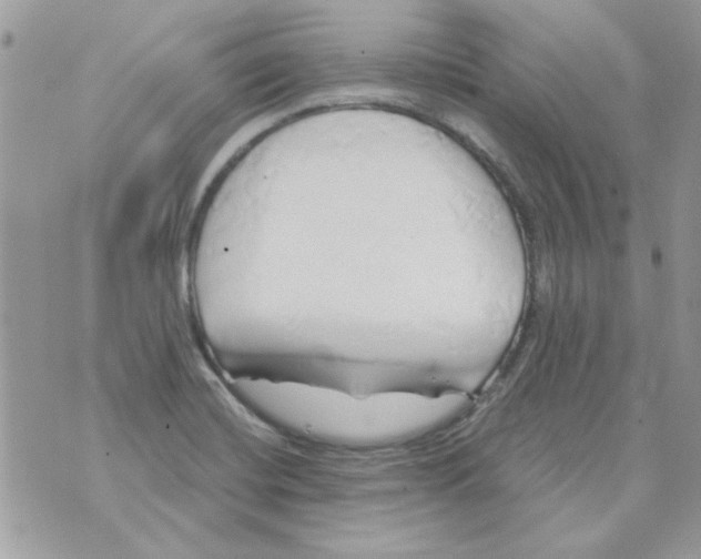 X0000071381420200607212201