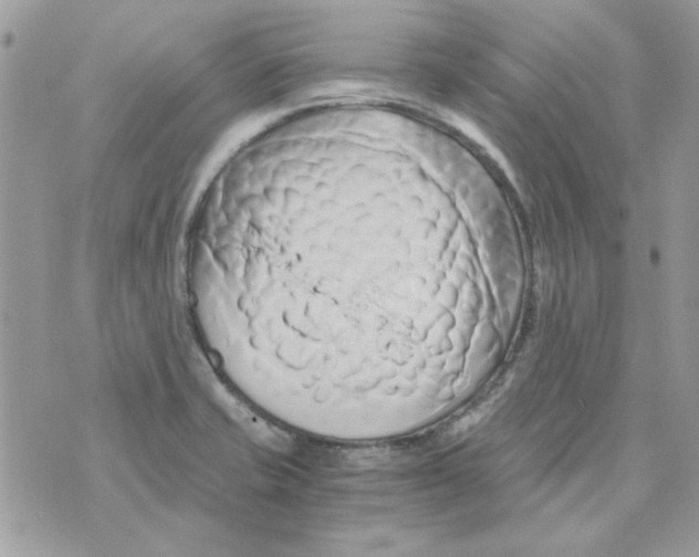 X0000071381421200607212201