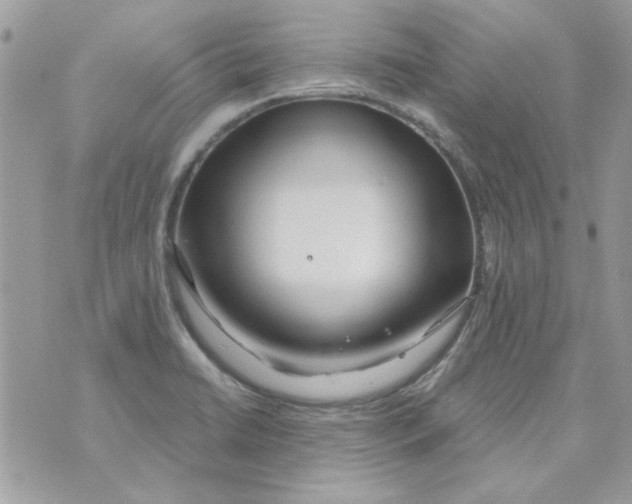 X0000071381422200607212201