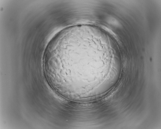 X0000071381423200607212201