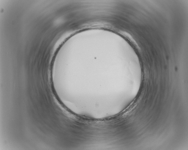 X0000071381424200607212201