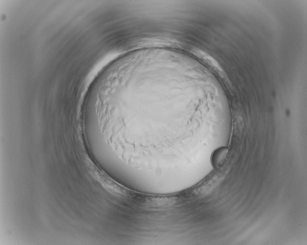 X0000071381427200607212201