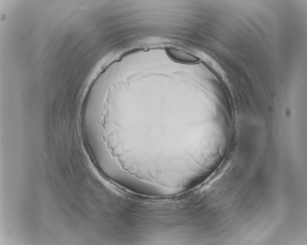 X0000071381429200607212201