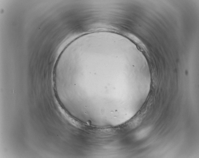 X0000071381431200607212201