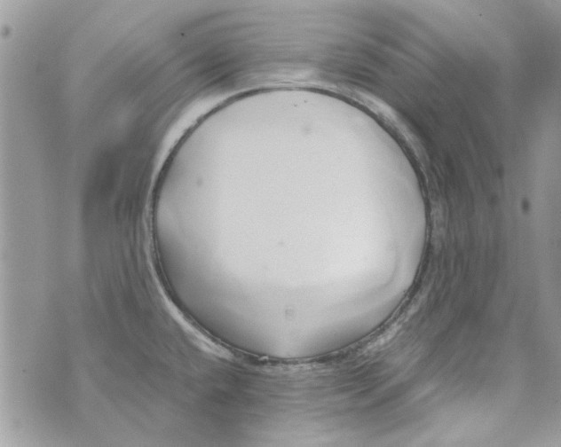 X0000071381432200607212201